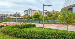 Профессиональное озеленение улиц в Тихвине в октябре