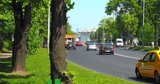 Посадка деревьев и кустарников в Тихвине — стоимость от 1311 руб.